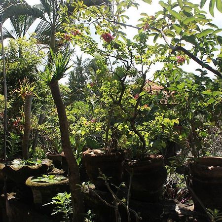 Raditia Homestay Ubud Extérieur photo
