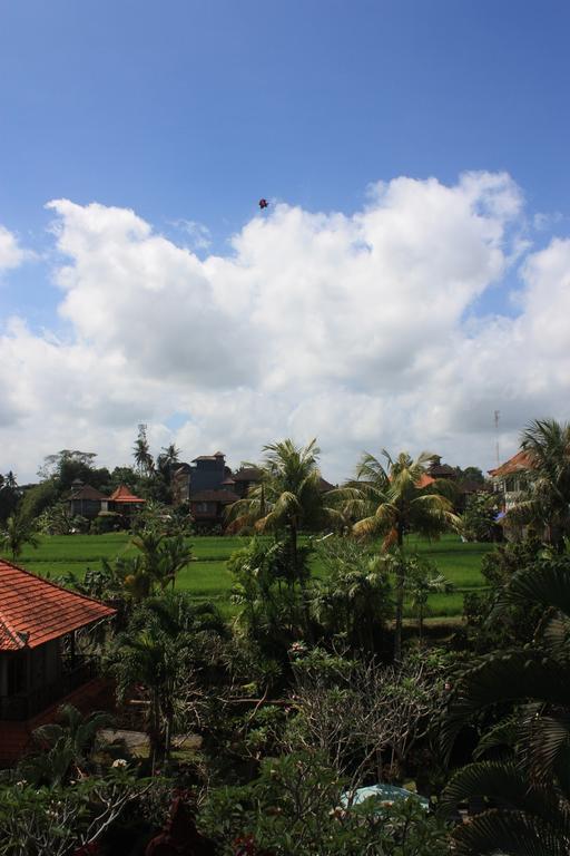 Raditia Homestay Ubud Chambre photo