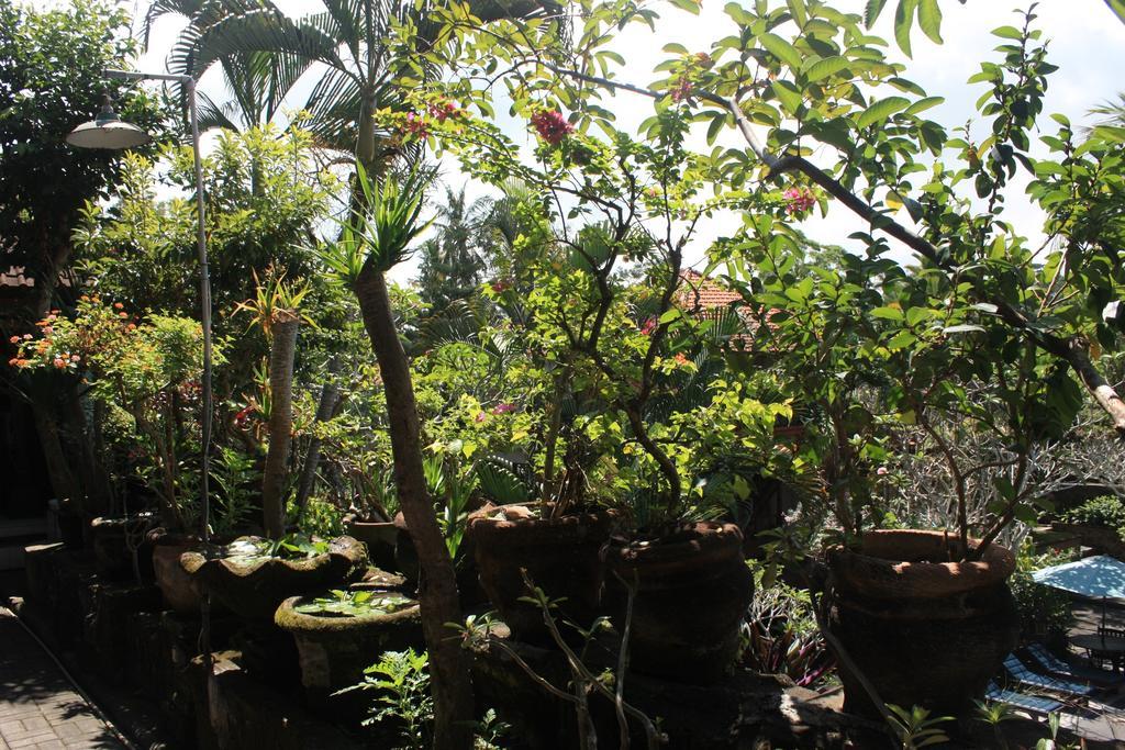 Raditia Homestay Ubud Extérieur photo